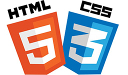5 languages for Website Development
