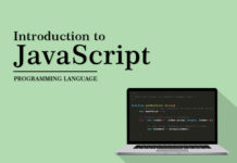 JavaScript: Beginners Guide to Web Development Programming Language