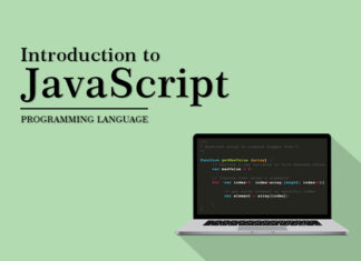 JavaScript: Beginners Guide to Web Development Programming Language