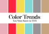 Color Trends you must know in 2021 Color Trends