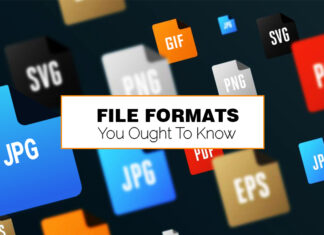 File Formats: Your quick guide to make your work easy! File Formats