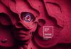 Unveiling the Magic of Pantone Color of the Year 2023 Pantone of Color of the Year 2023