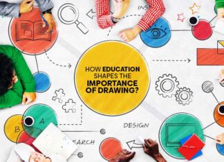 How Education Shapes the Importance of Drawing?