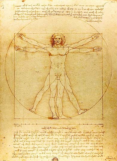 Leonardo da Vinci "The Vitruvian Man" | BsyBeeDesign