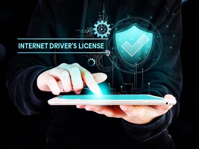 Internet Driver's License | BsyBeeDesign