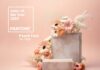 Peach Fuzz: Pantone Color of the Year 2024 Pantone Color of the Year 2024 - Peach Fuzz | BsyBee Design