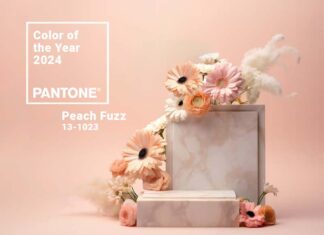Peach Fuzz: Pantone Color of the Year 2024 Pantone Color of the Year 2024 - Peach Fuzz | BsyBee Design