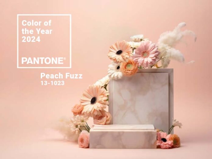 Pantone Color of the Year 2024 - Peach Fuzz | BsyBee Design