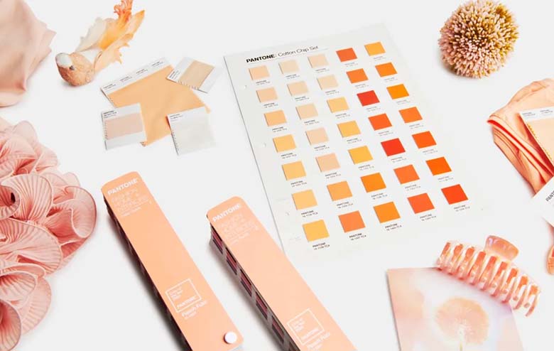 The Pantone Color of the Year for 2024 is “Peach Fuzz”