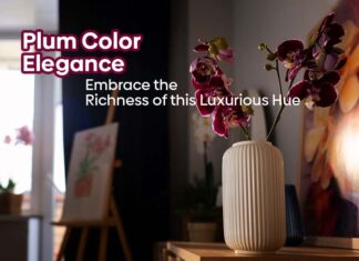 Plum Color Elegance: Embrace the Richness of this Luxurious Hue Plum Color