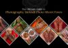 The Ultimate Guide to Photography Mehndi Photo Shoot Poses The Ultimate Guide to Photography Mehndi Photo Shoot Poses