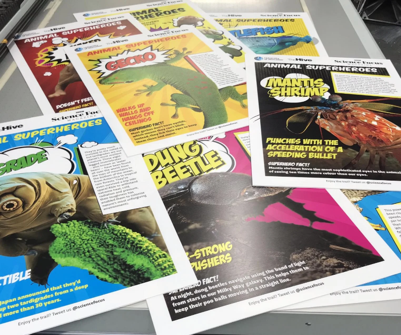 Satin Poster Paper